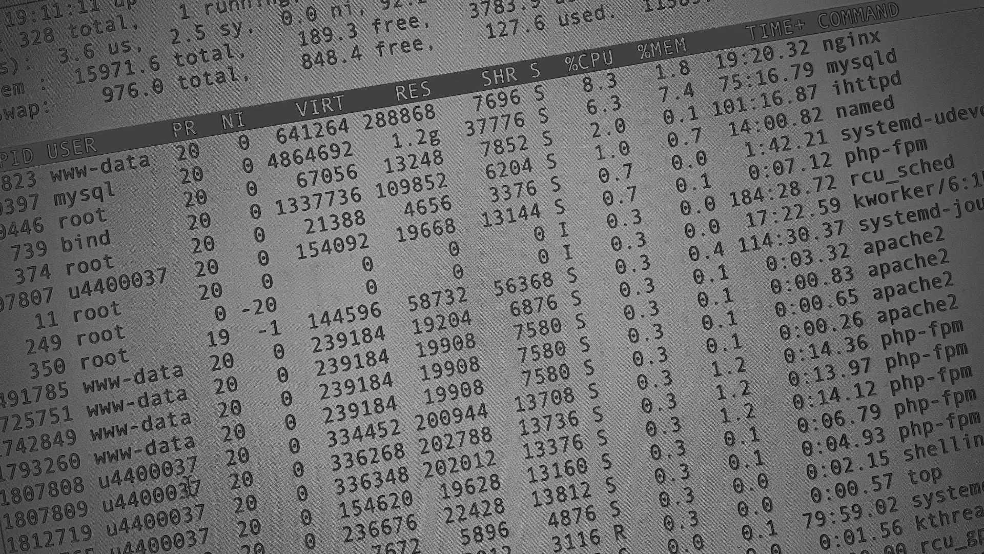 Настройка сервера в Семикаракорске Настройка сервера в Семикаракорске
